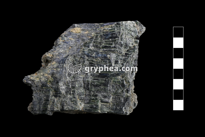 Schiste métamorphique (Zermatt, Suisse) - gryphea.org